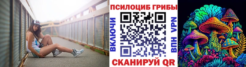 Псилоцибиновые грибы Psilocybine cubensis  Купить где  Нерехта 