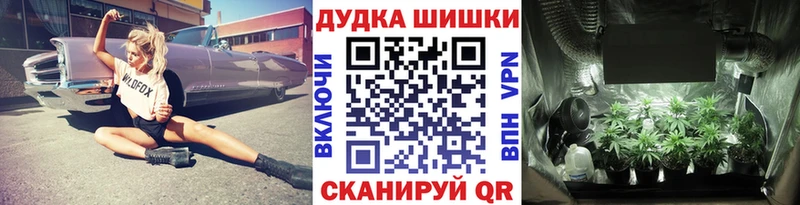 Марихуана семена  Купить закладки  Нерехта 